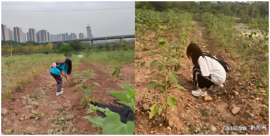 22金融2班.png 22金融2班.png