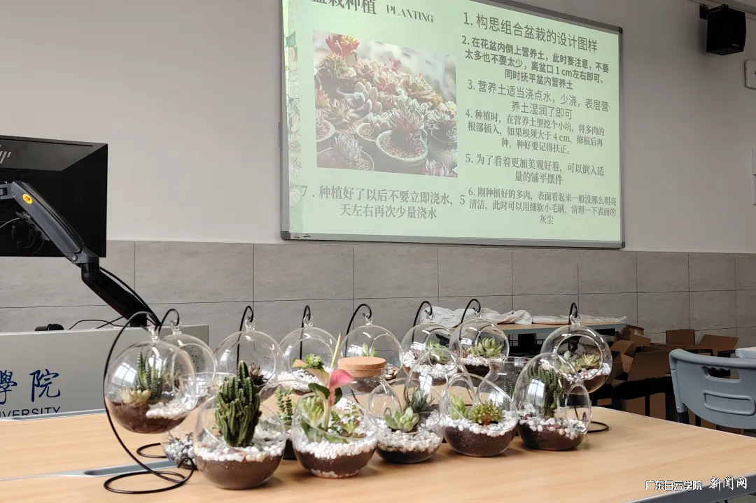 图片 3.png 图片 3.png