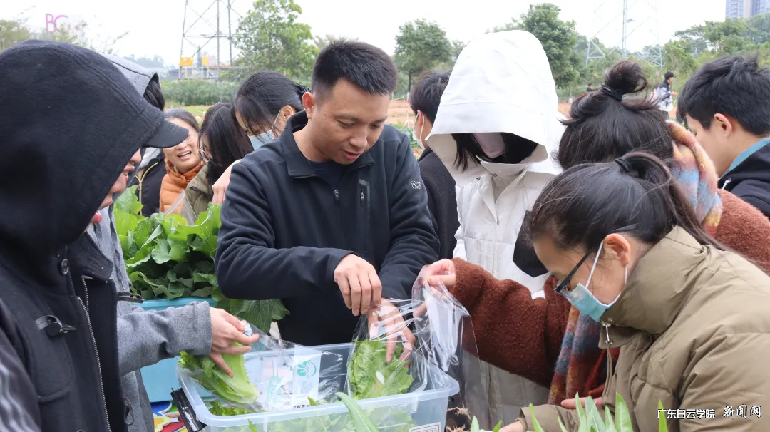 图片 3.png 图片 3.png