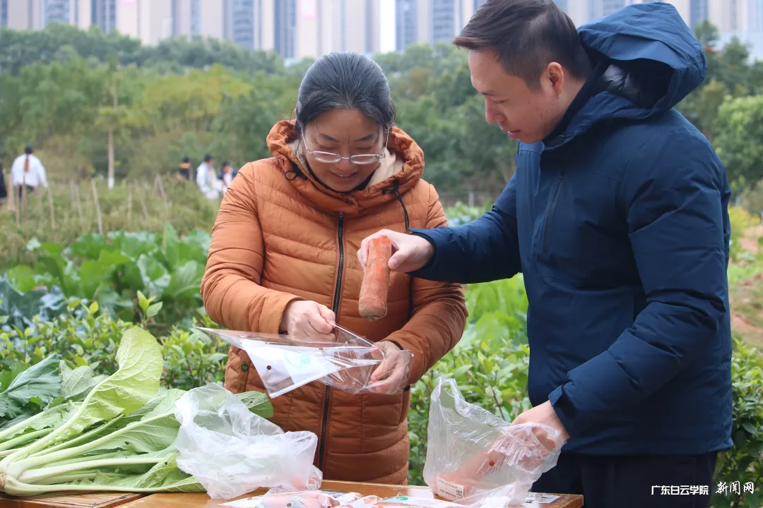 图片 4.png 图片 4.png