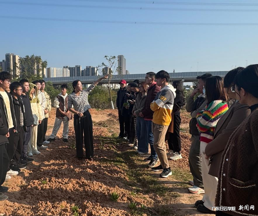 图片 4.png 图片 4.png