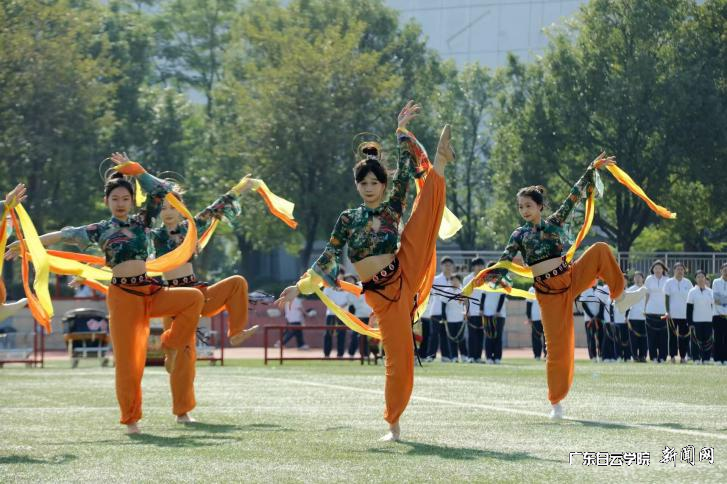 图片 11.png 图片 11.png