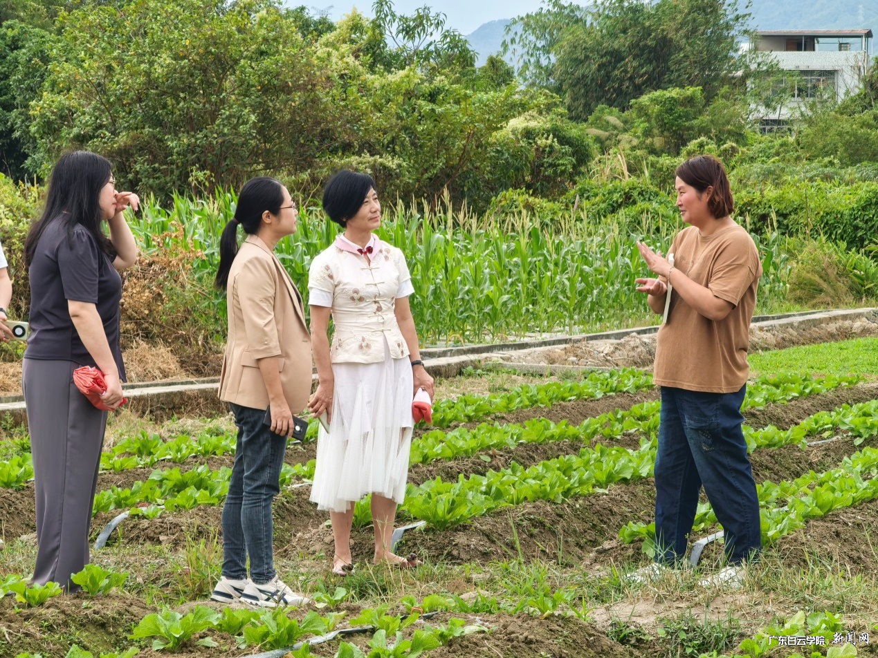 图片 4.png 图片 4.png