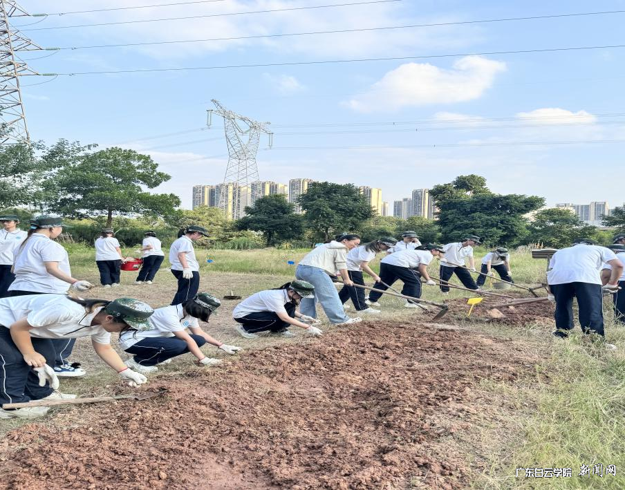 图片 2.png 图片 2.png