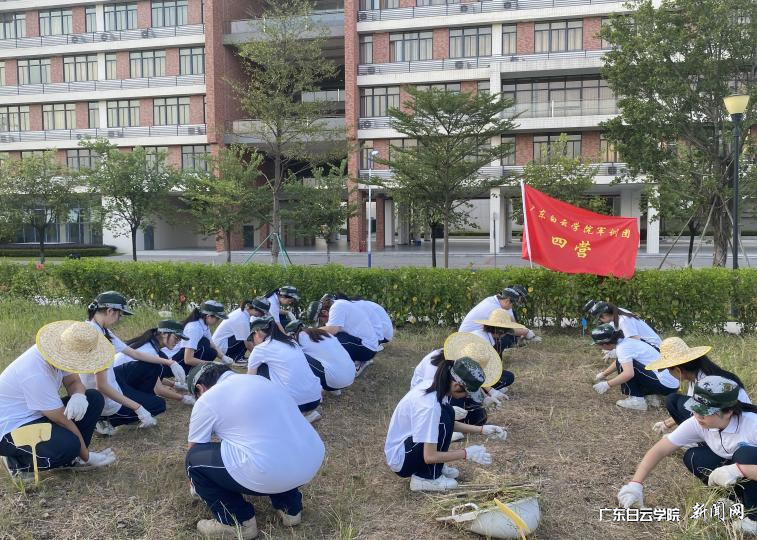 图片 1.png 图片 1.png