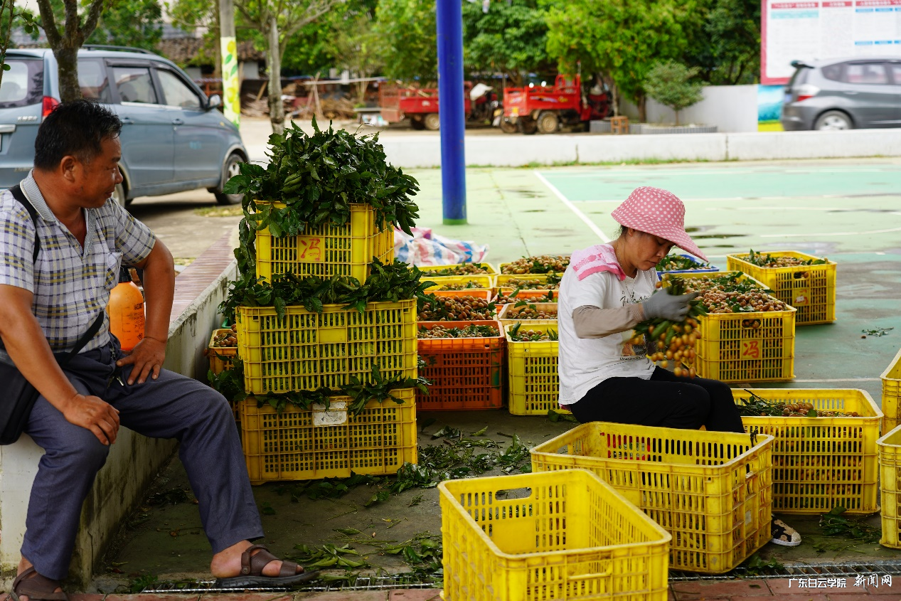 图片 4.png 图片 4.png