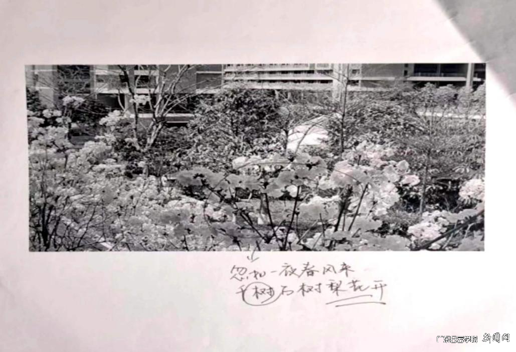 图片 2.png 图片 2.png