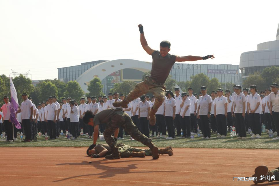 图片12.png 图片12.png