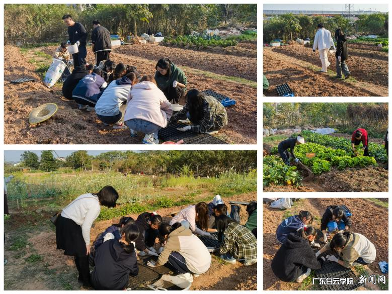 图片 2.png 图片 2.png