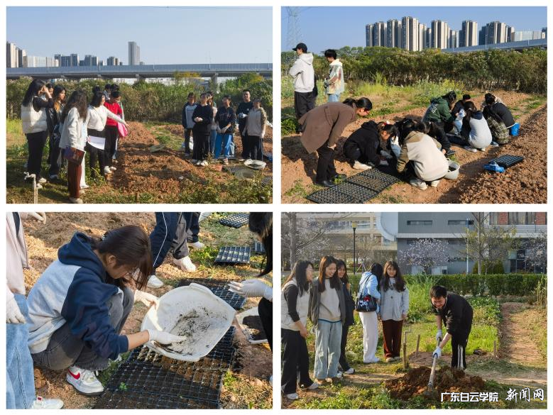 图片 1.png 图片 1.png