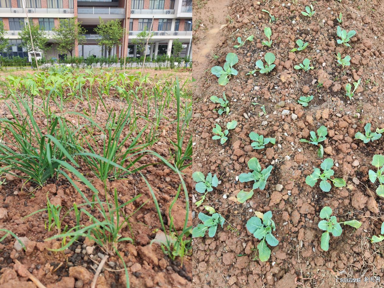 图片 5.png 图片 5.png