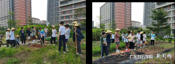 图片 2.png 图片 2.png