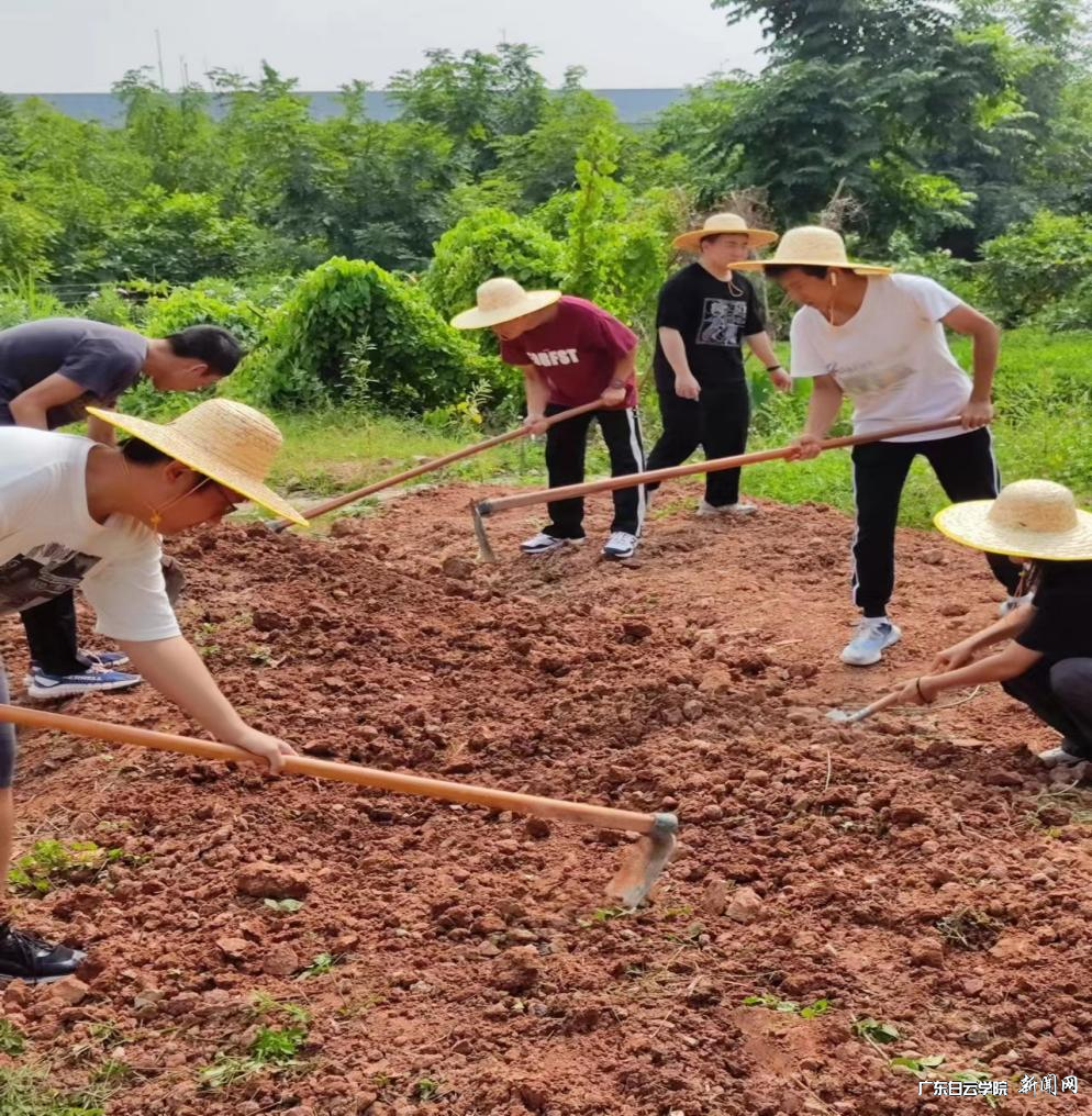 图片 2.png 图片 2.png