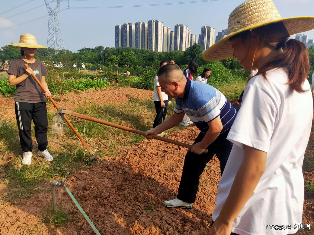 图片 1.png 图片 1.png