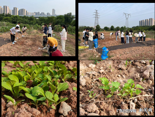 图片 3.png 图片 3.png