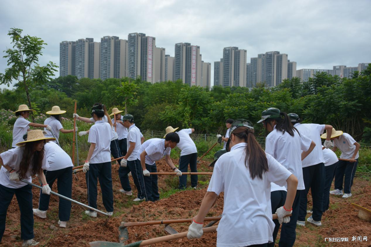 图片 3.png 图片 3.png