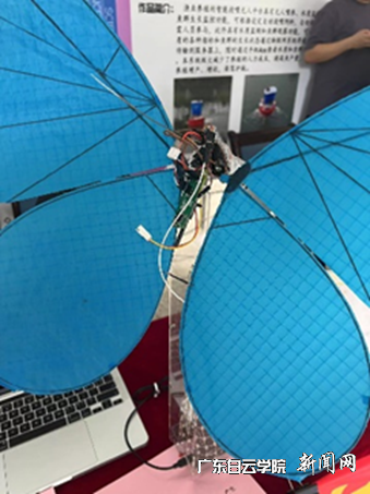 图片 5.png 图片 5.png