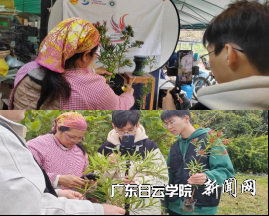 图片 3.png 图片 3.png