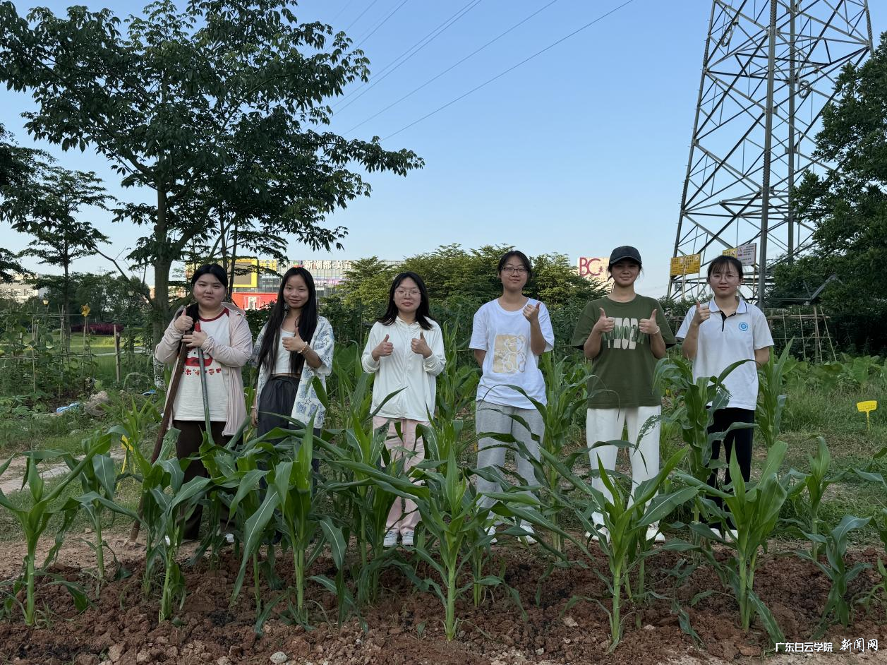 图片 3.png 图片 3.png