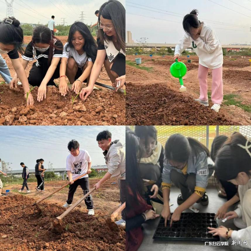 图片 1.png 图片 1.png