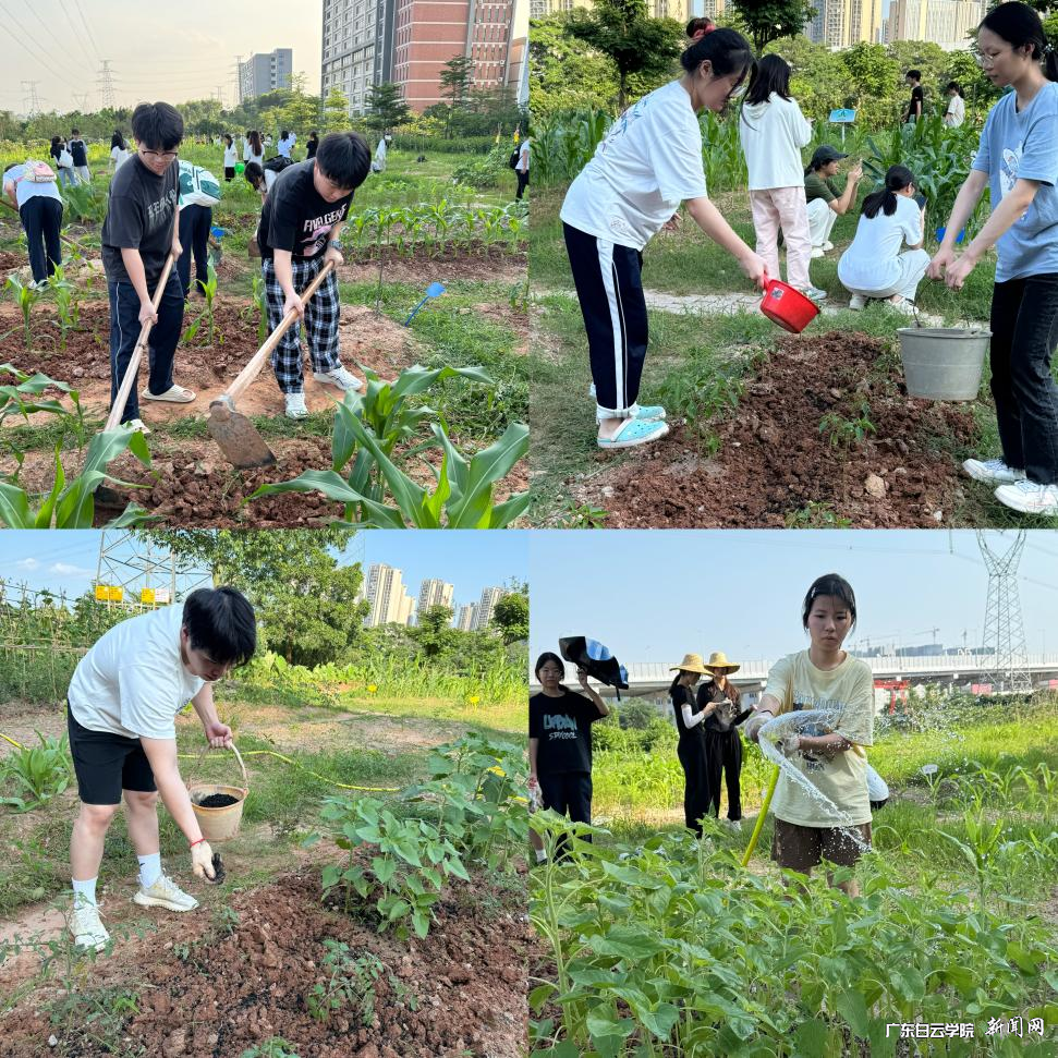 图片 2.png 图片 2.png