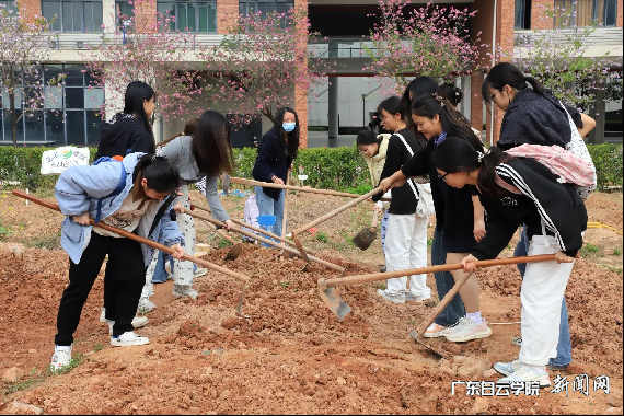 图片 5.png 图片 5.png