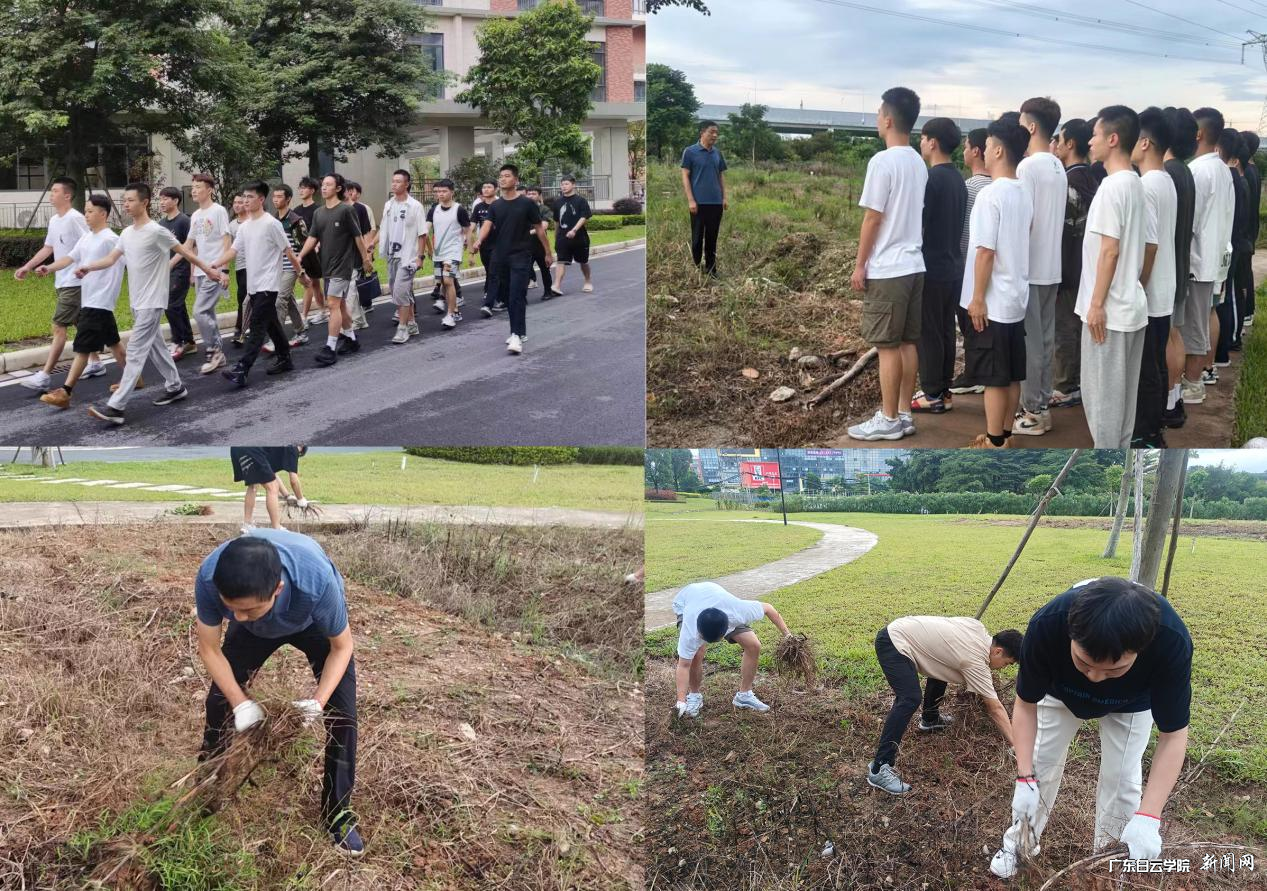 图片 3.png 图片 3.png