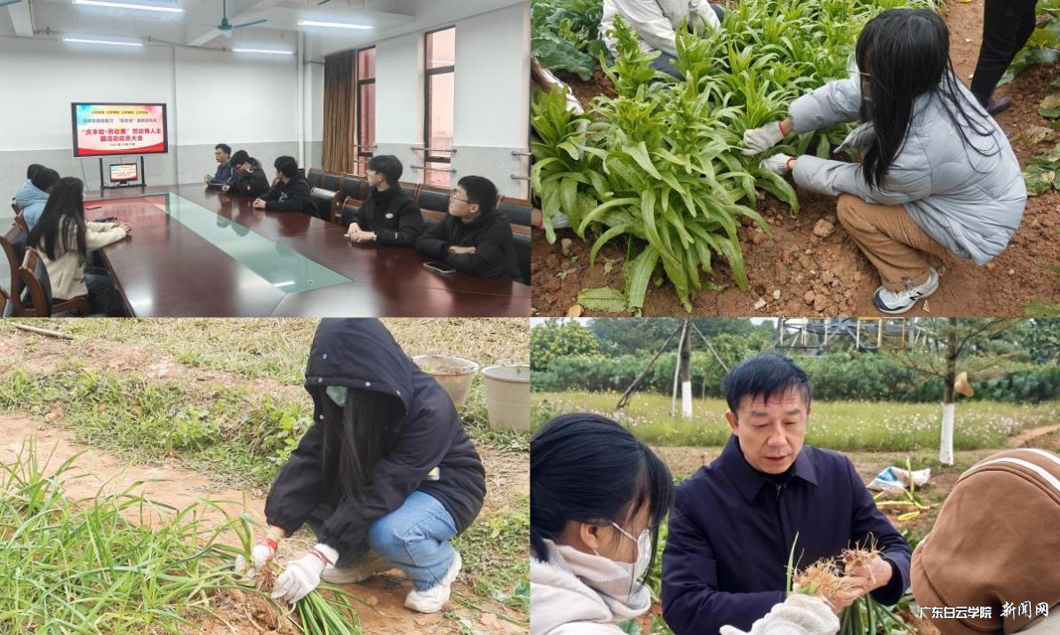 图片 7.png 图片 7.png