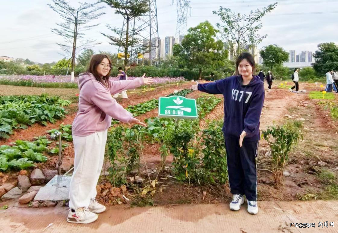 图片 1.png 图片 1.png