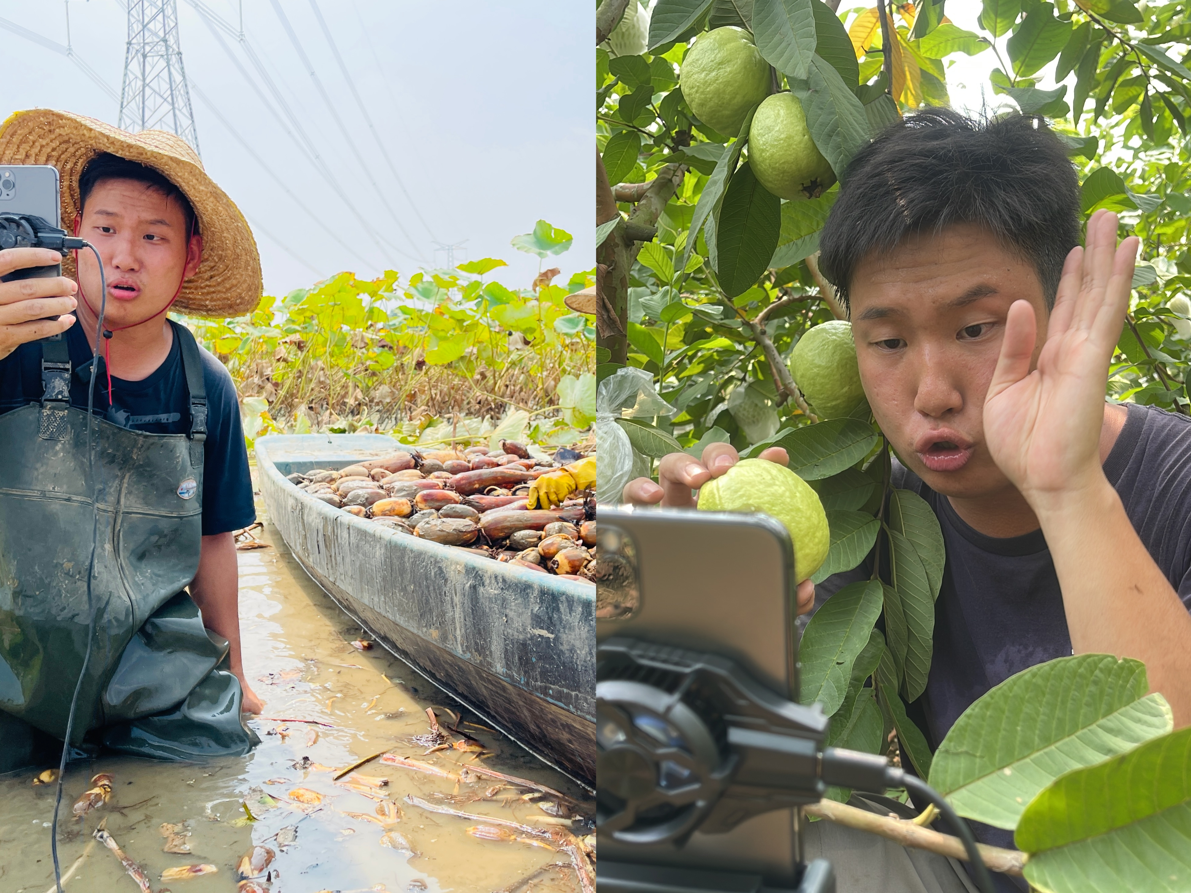 图片 2.png 图片 2.png