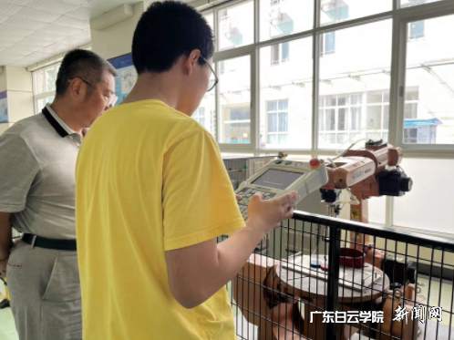 图片 7.png 图片 7.png