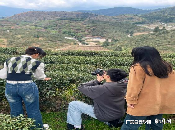 图片 3.png 图片 3.png