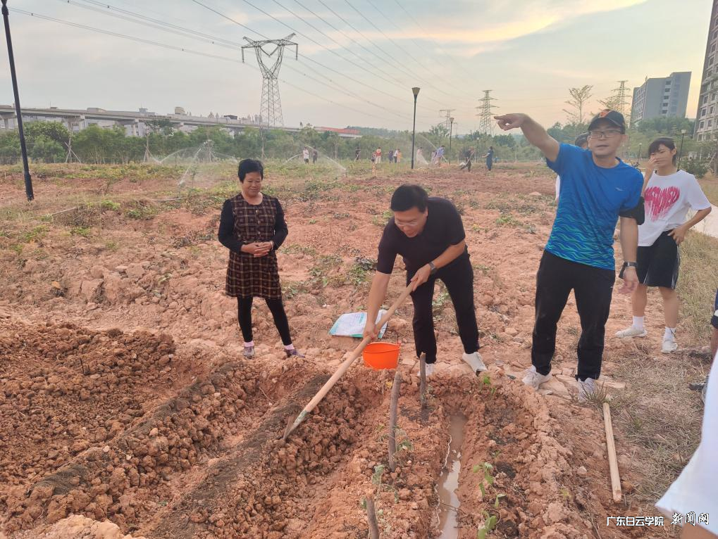 图片 1.png 图片 1.png