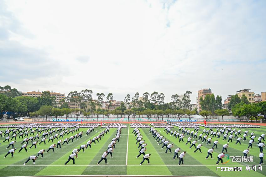 图片 12.png 图片 12.png