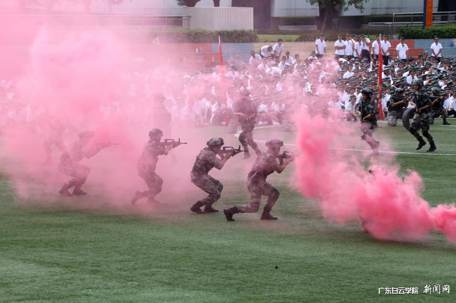 图片 8.png 图片 8.png