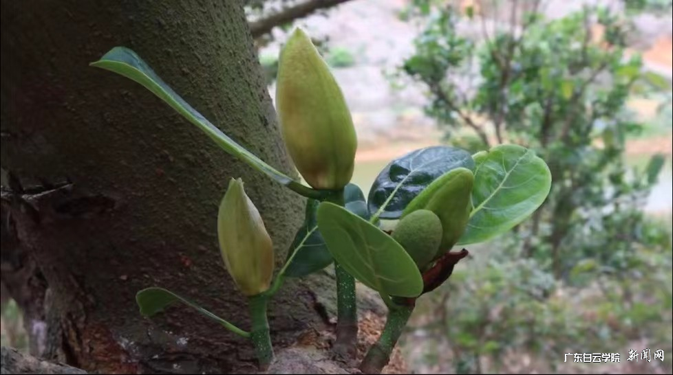 图片 3.png 图片 3.png