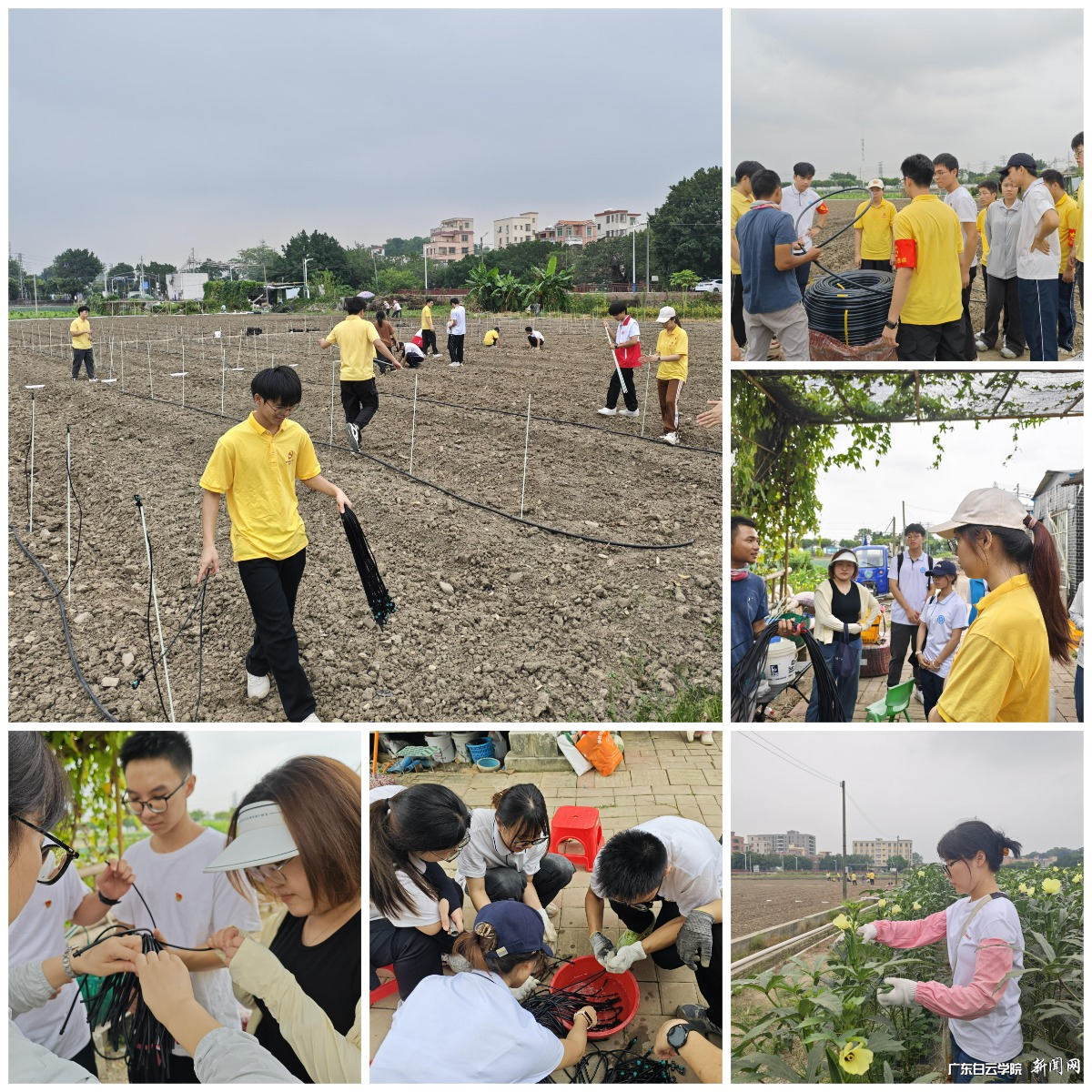 图片 1.png 图片 1.png