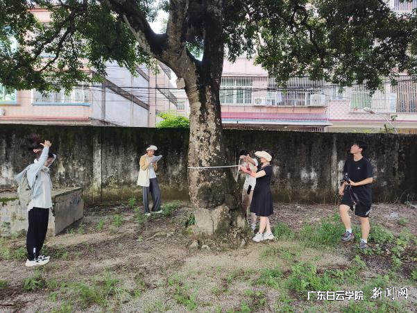 图片 4.png 图片 4.png