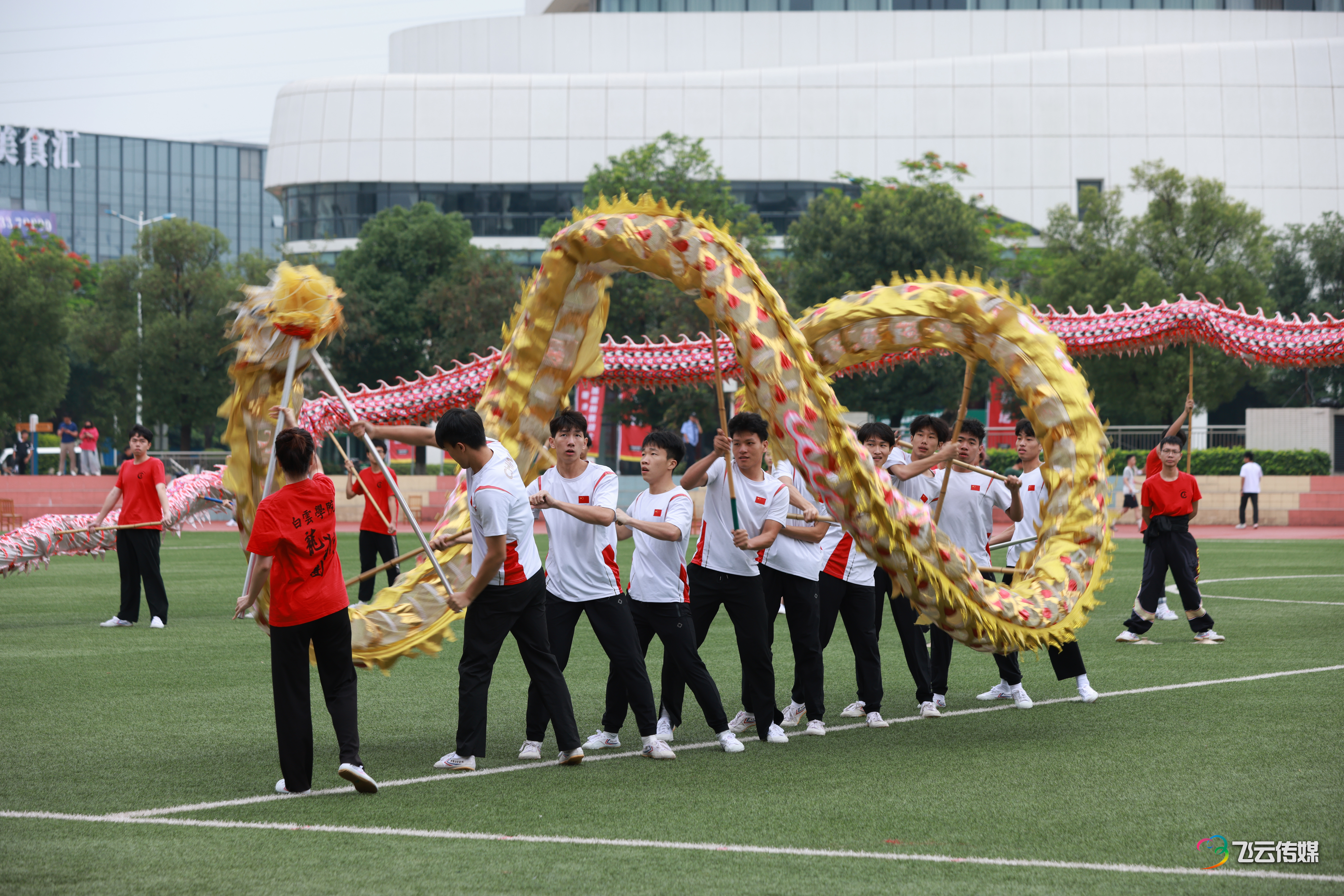 图片15.png 图片15.png