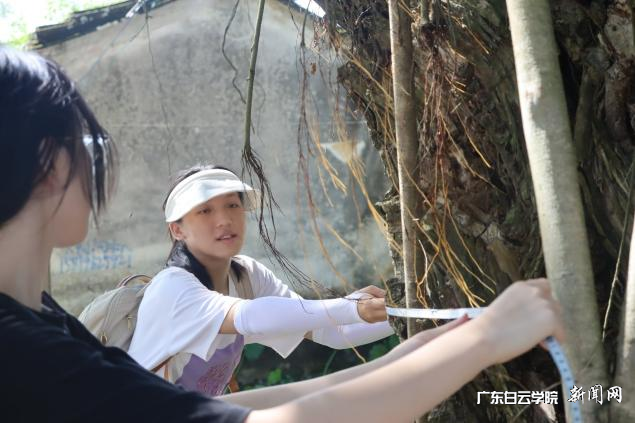 图片 5.png 图片 5.png