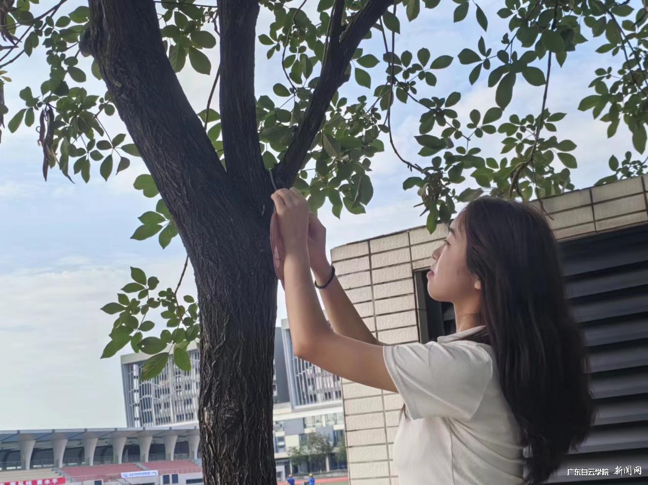 图片 5.png 图片 5.png