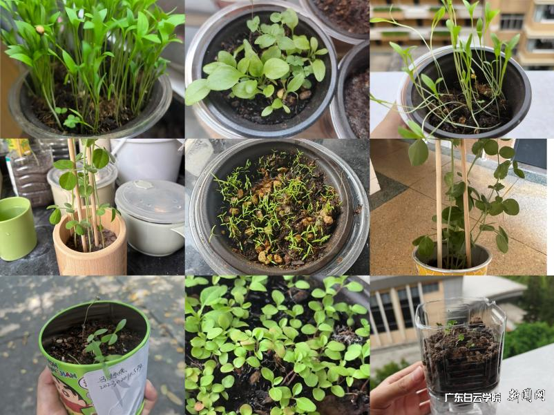 图片 1.png 图片 1.png