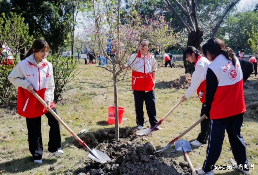 图片 4.png 图片 4.png