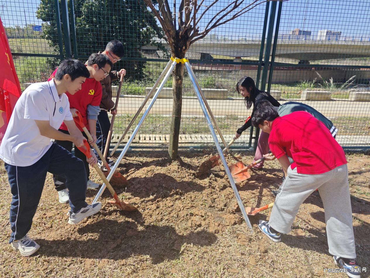 图片 1.png 图片 1.png