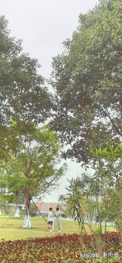 图片 1.png 图片 1.png