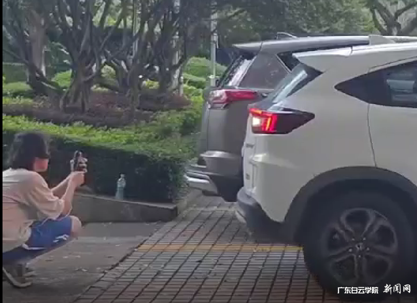 图片 1.png 图片 1.png